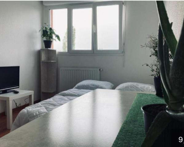 Zenith Strasbourg 2 Chambre Eckbolsheim Dış mekan fotoğraf